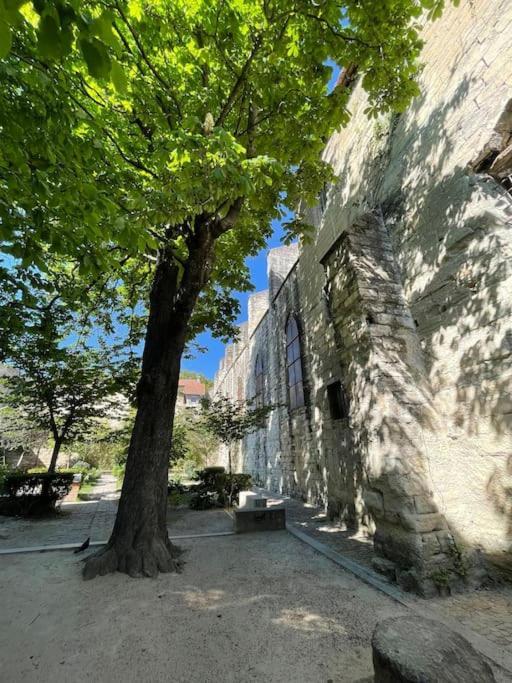 Charmant Studio, Centre Historique, Carmes Avignon Luaran gambar